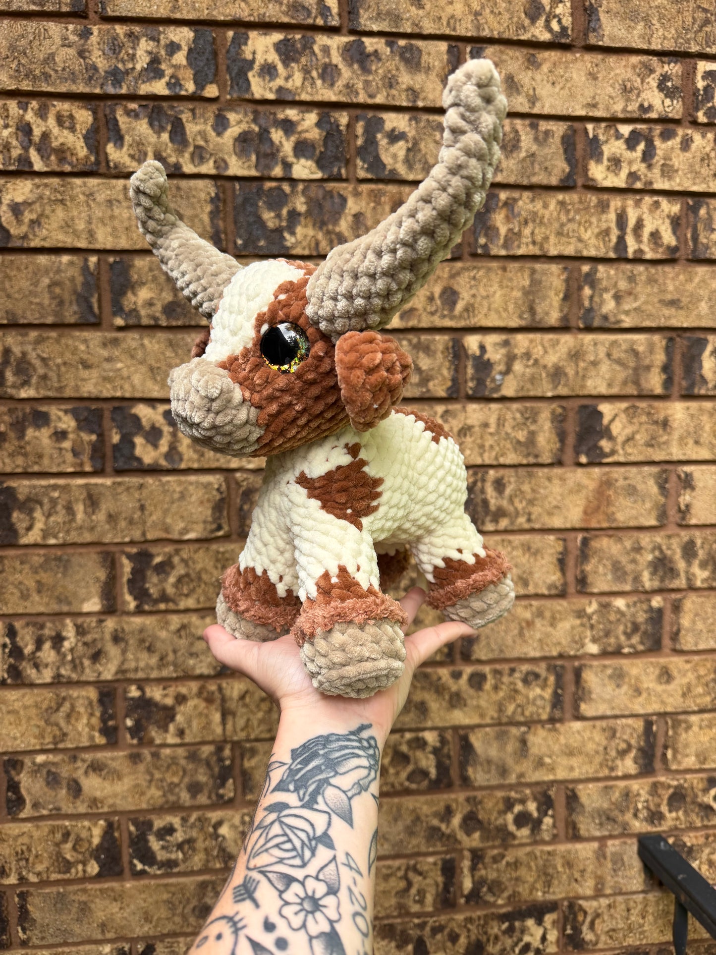 Longhorn cow